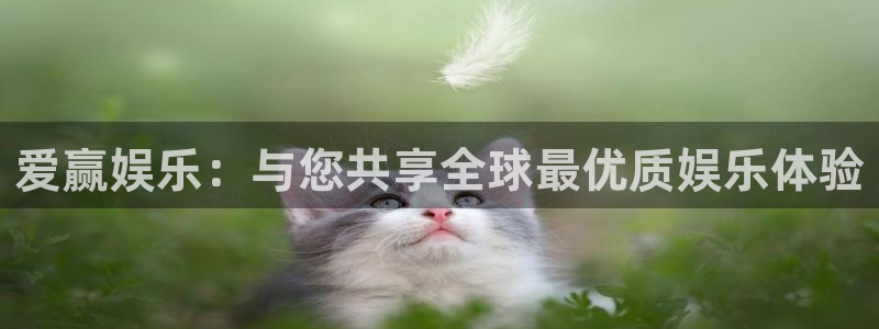 天狮娱乐：爱赢娱乐：与您共享全球最优质娱乐体验