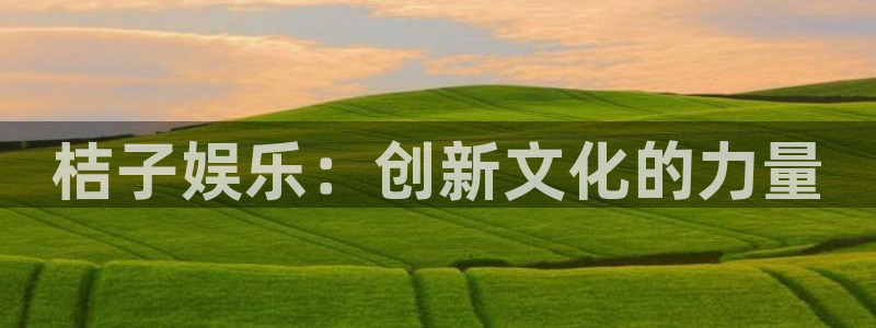 天狮娱乐：桔子娱乐：创新文化的力量