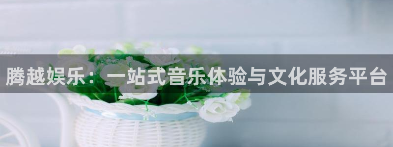 天狮娱乐：腾越娱乐：一站式音乐体验与文化服务平台