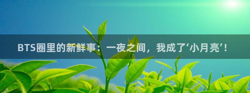 天狮娱乐：BTS圈里的新鲜事：一夜之间，我成了‘小月亮’！