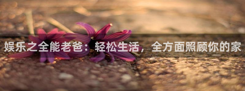 天狮娱乐：娱乐之全能老爸：轻松生活，全方面照顾你的家