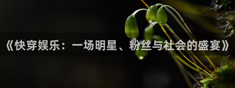 天狮娱乐：《快穿娱乐：一场明星、粉丝与社会的盛宴》