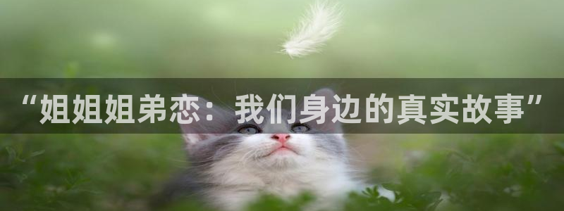 天狮娱乐：“姐姐姐弟恋：我们身边的真实故事”