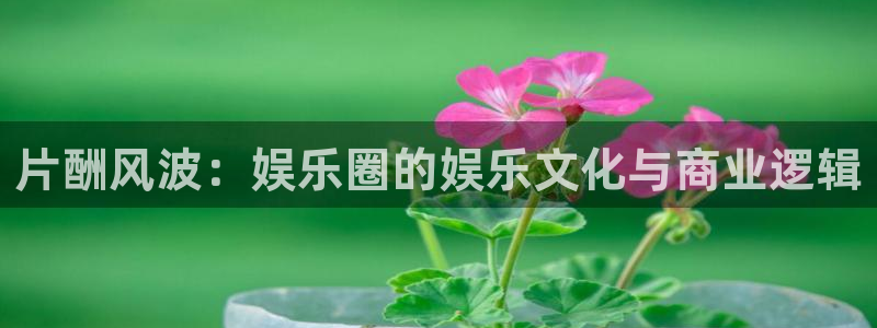 天狮娱乐：片酬风波：娱乐圈的娱乐文化与商业逻辑