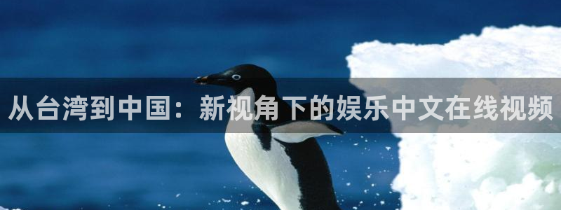 天狮娱乐：从台湾到中国：新视角下的娱乐中文在线视频