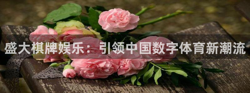 天狮娱乐：盛大棋牌娱乐：引领中国数字体育新潮流