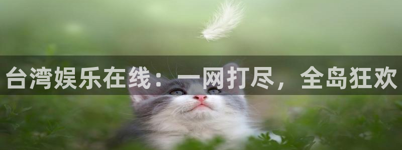 天狮娱乐：台湾娱乐在线：一网打尽，全岛狂欢