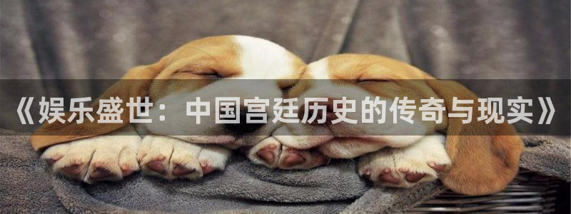 天狮娱乐：《娱乐盛世：中国宫廷历史的传奇与现实》